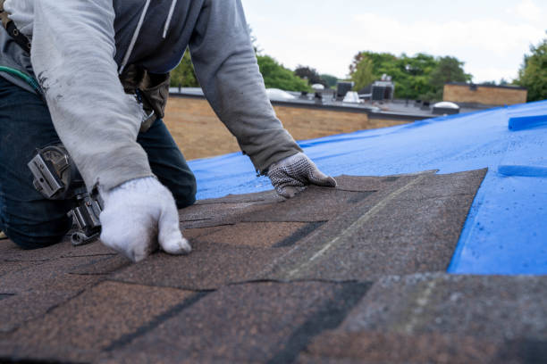 Best Roof Moss and Algae Removal  in Banks Springs, LA